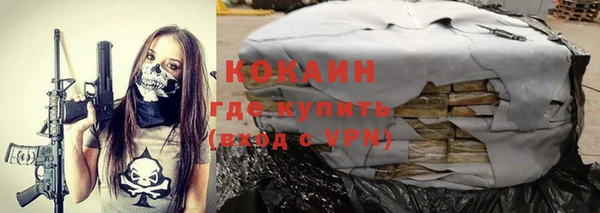 гидропоника Бородино