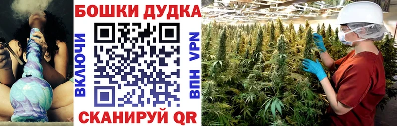 Шишки марихуана Ganja  Старица 